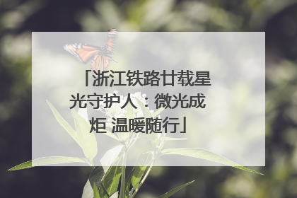 浙江铁路廿载星光守护人：微光成炬 温暖随行